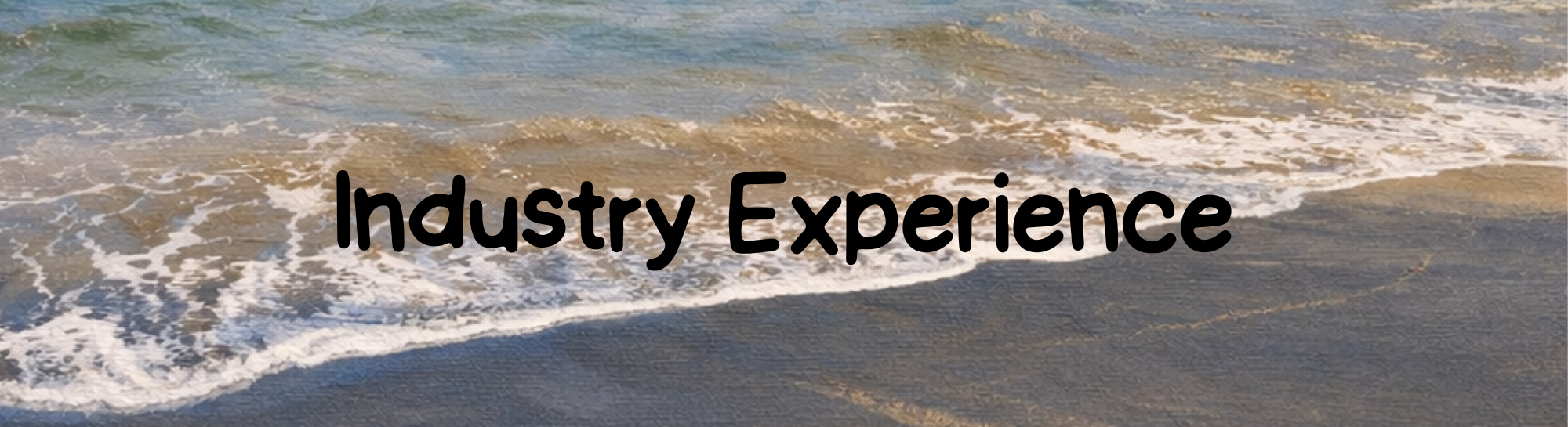 Industry Experience - Carsyn Williams