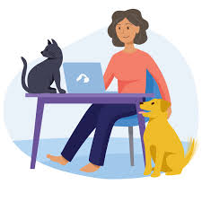 Pet Sitting