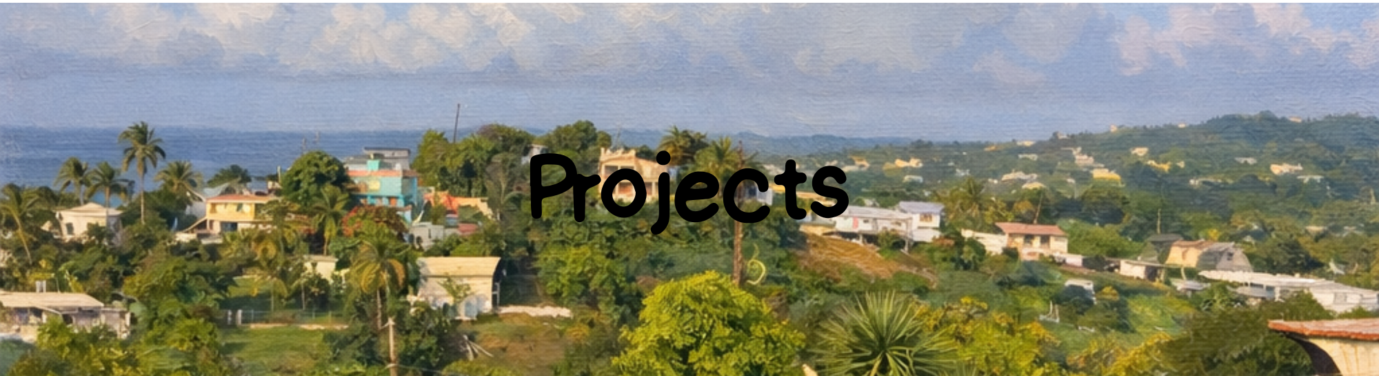 Projects - Carsyn Williams